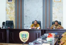 Hadiri RDP Komisi II DPR RI, Sekda  Soroti Regulasi Belanja Pegawai dan Nasib PPPK