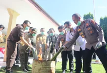 Musnahkan 2.117 Kantong Miras Polresta Tidore Tegaskan  Berantas Miras dan Narkoba