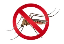 Peringatan Hari Demam Berdarah ASEAN, menuju Nol Kematian akibat Dengue