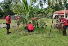 Sambut HUT Bhayangkara, Polsek Sanana Bakti di Lingkungan Mako