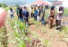 BNNP Malut Berdayakan Warga Jati lewat Pertanian Produktif