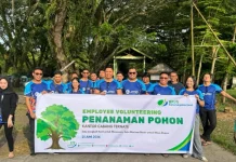BPJS Ketenagakerjaan Ternate Tanam Pohon, Wujudkan Kepedulian Lingkungan
