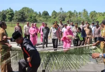 Kapolres Baru Kepulauan Sula Disambut Meriah dengan Adat Tradisional