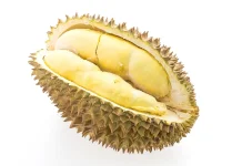Benarkah Durian Mengandung Kolesterol Tinggi? Ini Faktanya
