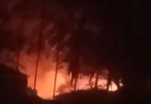 Kebakaran Terjadi di Area Penampungan Kayu PT SGM, Penyebab Masih Diselidiki