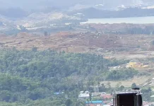 Lampaui Jawa hingga Sulawesi, PMA di Malut Tembus Rp39,4 Triliun TW-II 2026