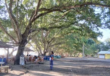 Menikmati Kesejukan dan Senja di Pantai Marimbati Halmahera Barat
