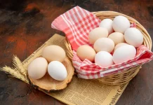 Kenali Perbedaan Telur Ayam Kampung dan Telur Ayam Negeri