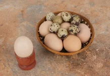 Telur Puyuh atau Telur Ayam, Mana yang Kandungan Kolesterolnya Lebih Tinggi?