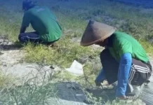 Lapas Tobelo Siapkan Lahan Pertanian untuk Ketahanan Pangan