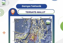 Gempa Magnitudo 5,8 Guncang Barat Daya Ternate, BMKG: Berpusat di Laut
