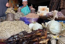 Tarif Merek UMK Dipertahankan dan Hak Cipta Lagu Gratis