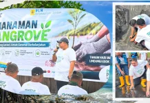 PLN NPS PLTMG Tobelo dan UNIERA Lestarikan Pesisir Halmahera Utara