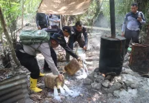 Polres Halmahera Selatan Putus Mata Rantai Produksi Miras Ilegal