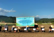 BI Maluku Utara Tanam Demplot Bawang Merah di Haltim untuk Tekan Inflasi Pangan