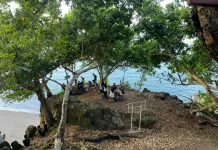 Pesona Tersembunyi Wisata Batu Gigit Besi di Ternate