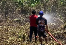 Damkar Tidore Padamkan Kebakaran Lahan di Tuguwaji