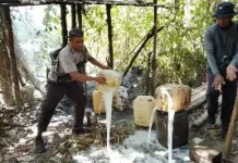 Tim Saber Miras Halsel Musnahkan 375 Liter Saguer Ilegal