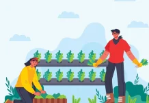 Mengenal Istilah Urban Farming