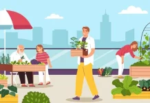 Ketahui Berbagai Metode Urban Farming