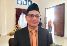 Ketua DPC Hanura Kembali Buka Suara soal PAW Mardin