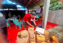 Saatnya Sagu sebagai Pangan Lokal Naik Kelas