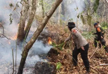 Kapolres Ternate Pimpin Pemadaman Karhutla di Kelurahan Tubo