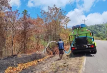 PUPR Malut Sisir Titik Rawan Karhutla di Jalur Boso-Sidangoli
