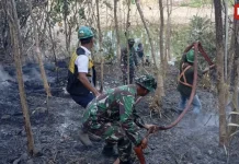 Personel Gabungan Berjibaku Padamkan Kebakaran Hutan di Maba