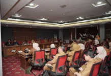 Kemendagri Dorong Lima Kebijakan Penguatan Resiliensi di Maluku Utara