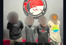 Empat Pemuda Ditangkap Terkait Dugaan Peredaran Ganja di Tidore