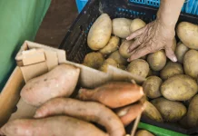Mengenal Berbagai Macam Panganan Lokal Bergizi yang Masih Jarang Diketahui