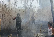 Sinergi TNI-Polri Padamkan Kebakaran Lahan Kosong di Morotai