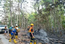 Pencegahan sejak Dini menjadi Langkah Penting Mitigasi Karhutla