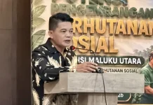 Perhutanan Sosial Maluku Utara Didorong Naik Kelas, Tak Lagi Sekadar Kelola Hutan