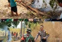 Gerak Cepat TNI-Polri Berhasil Jinakkan Kobaran Api di Morotai