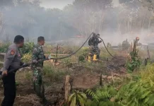 Sinergi TNI, Polri, Damkar, dan Warga Padamkan Karhutla di Maba