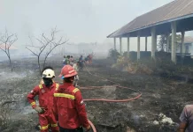 Kebakaran Lahan di Makaeling, Warga dan Petugas Berjibaku Padamkan Api