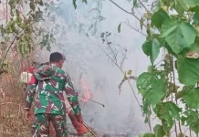 Babinsa dan Warga Berjibaku Padamkan Karhutla di Morotai
