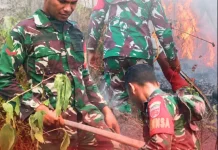 Babinsa dan Warga Padamkan Karhutla Lima Hektare di Morotai