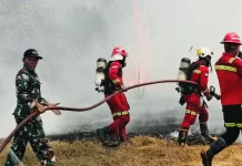 Respons Cepat ERT NHM Tangani Kebakaran di Area Perkebunan Makaeling