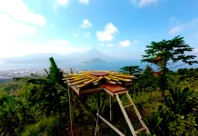 Puncak Momole Tabona, Keindahan "Kota Rampah" dari Ketinggian
