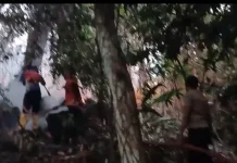 Dua Hari Berturut-turut, Kebakaran Lahan Terjadi di Tidore Kepulauan