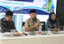 Maluku Utara Kejar Kepastian Investor China dalam 2 Bulan