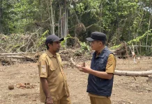 Rumah O’Hongana Manyawa Dibangun di Kawasan Hutan, Kadishut Pastikan Kantongi PPKH