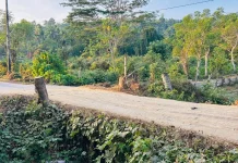Belum Ada Progres Pekerjaan, Jembatan Ambruk di Waikalopa Masih Menunggu Anggaran