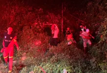 Medan Sulit, Pemadaman Lahan di Halteng Dilakukan Manual