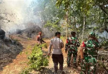 Polres Ternate Bersama TNI dan Warga Padamkan Karhutla di Tubo