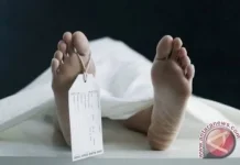 Misteri Dibalik Kematian Penambang Ilegal di Halmahera Selatan