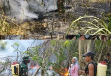 Babinsa dan Warga Padamkan Kebakaran Lahan Dekat RSUD Morotai